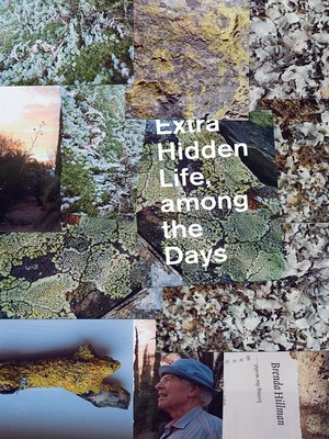 cover image of Extra Hidden Life, among the Days